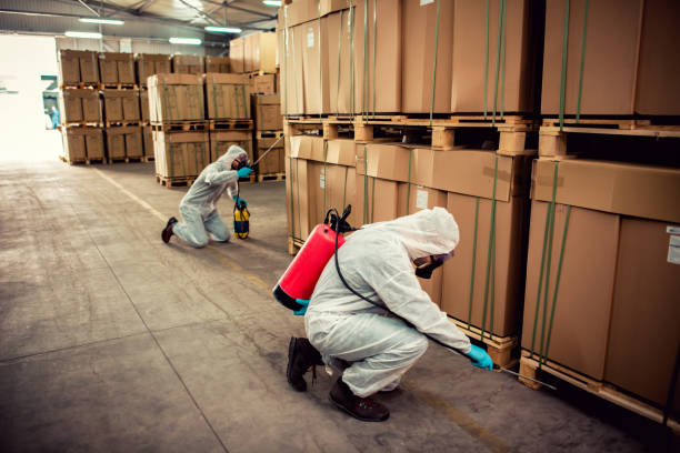 Best Residential Pest Control  in Keys, OK