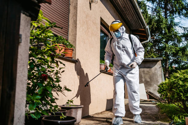 Best Emergency Pest Control  in Keys, OK