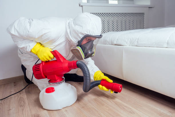 Best Mosquito Control Services  in Keys, OK