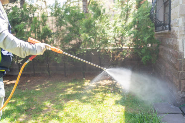 Best Termite Control Services  in Keys, OK