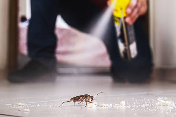 Best Exterminator Services  in Keys, OK
