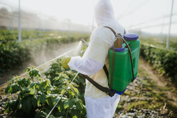 Professional Pest Control in Keys, OK